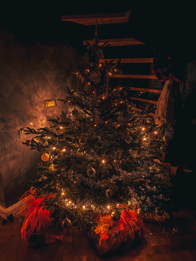 クリスマスツリーの歴史